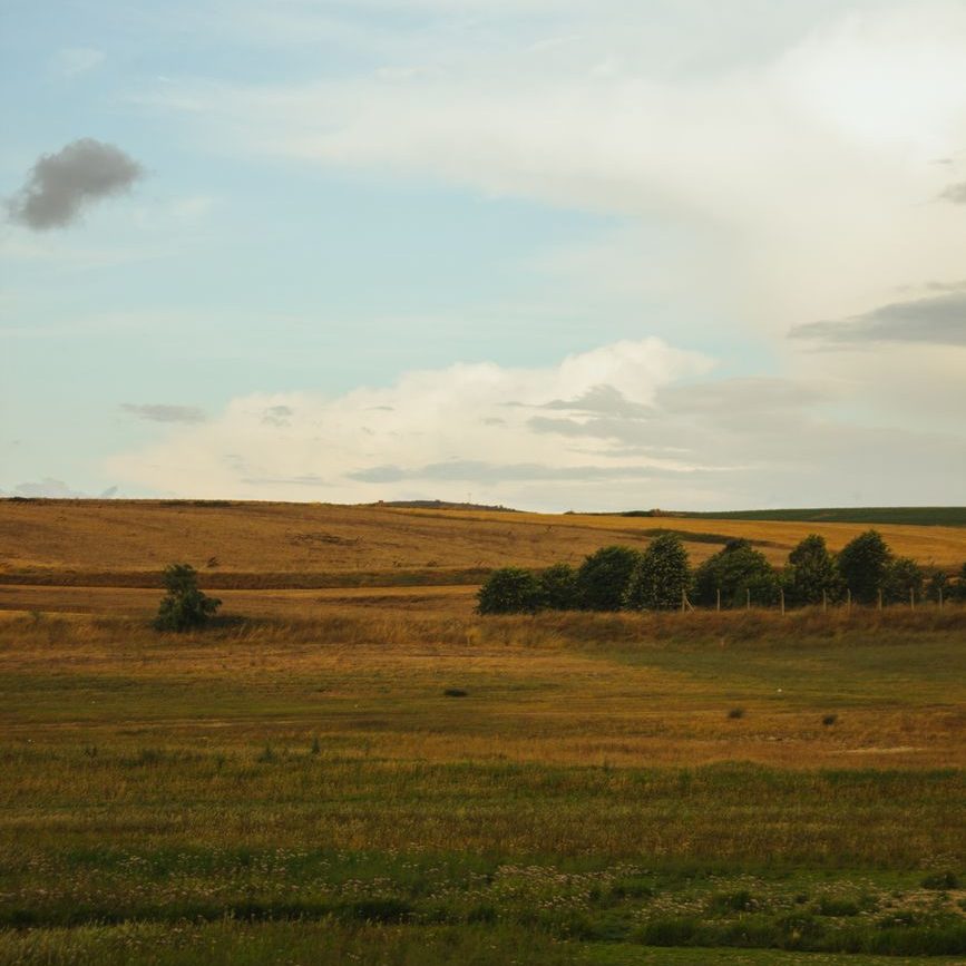 field in a valley in summer